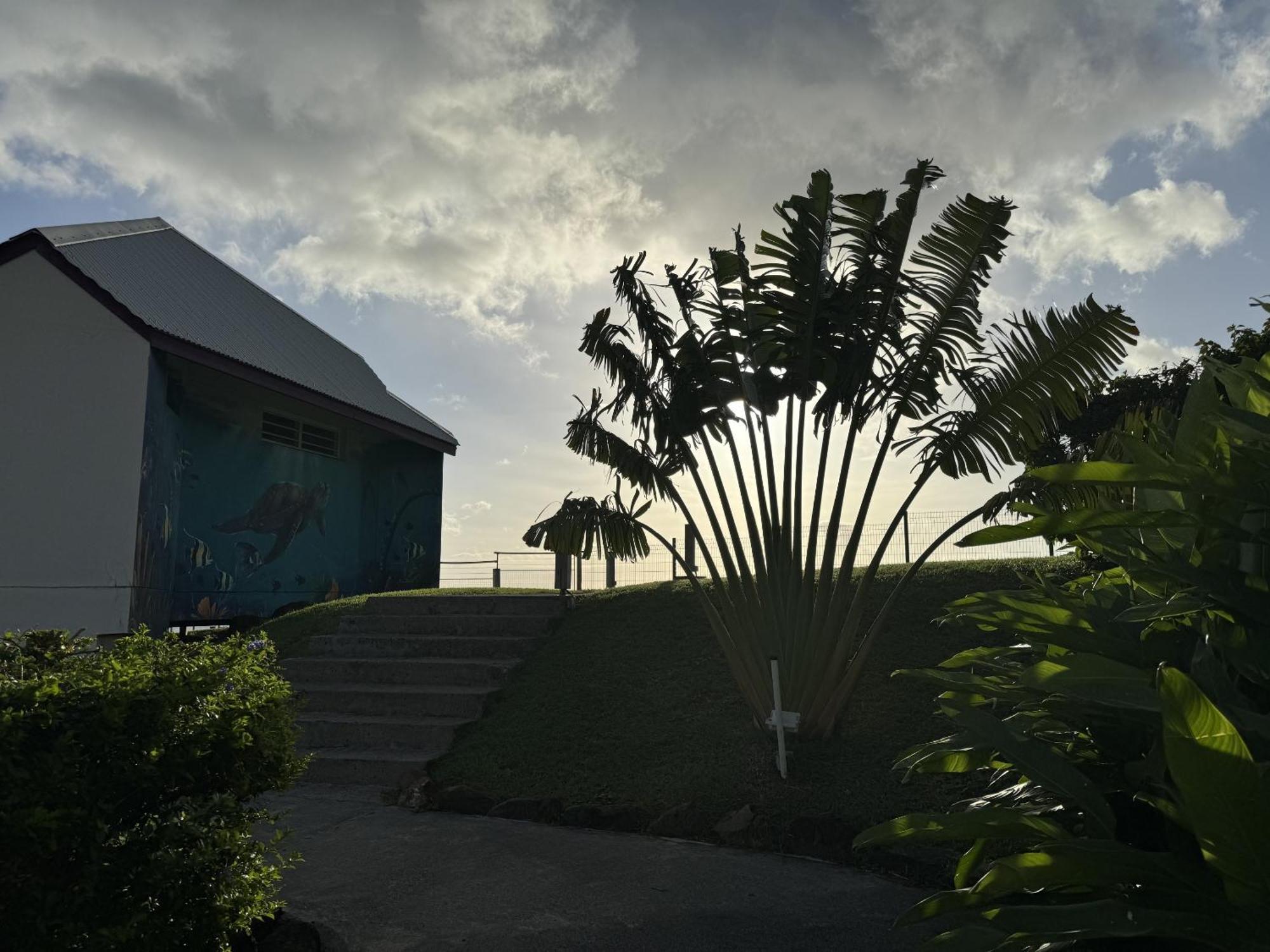Villa Le Jardin Des Ilets Bouillante Esterno foto
